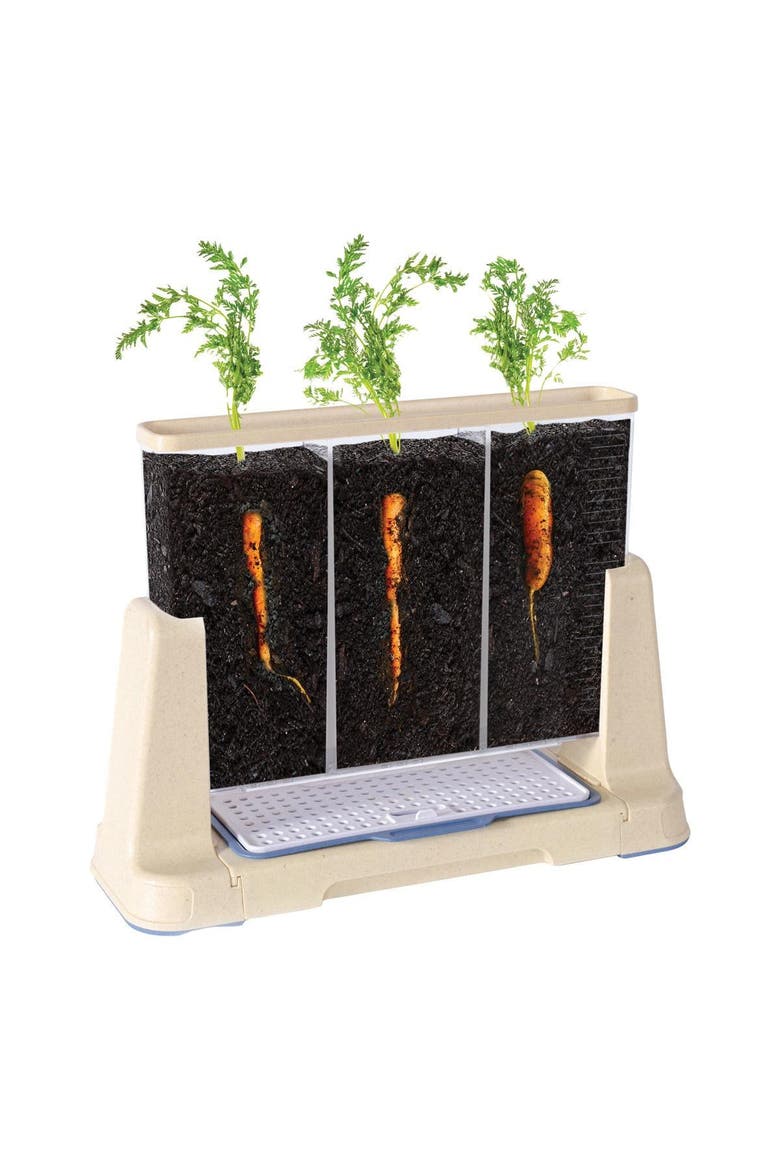 Explore and Discover 3 Section Root View Planter, Alternate, color, Clear