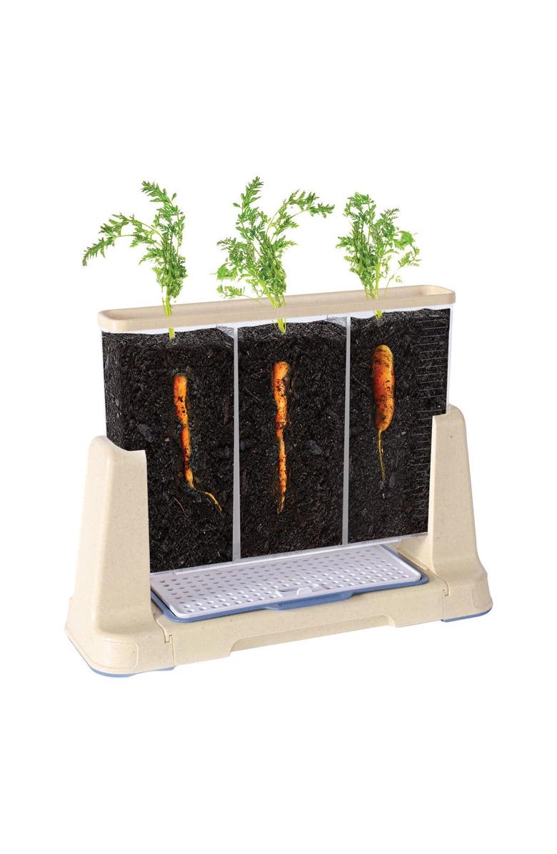 Kaplan Early Learning Company Explore and Discover 3 Section Root View Planter, Alternate, color, Clear