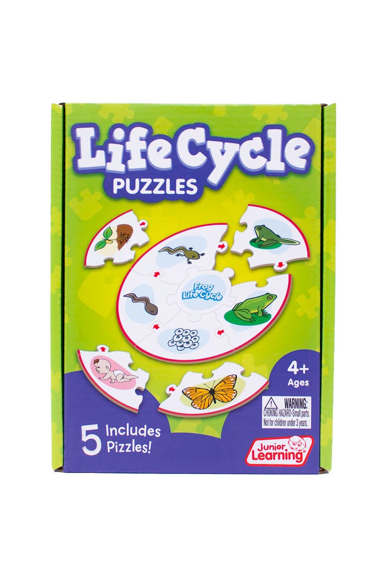 Life Cycle Science Learning Puzzles, Alternate, color, Multicolored