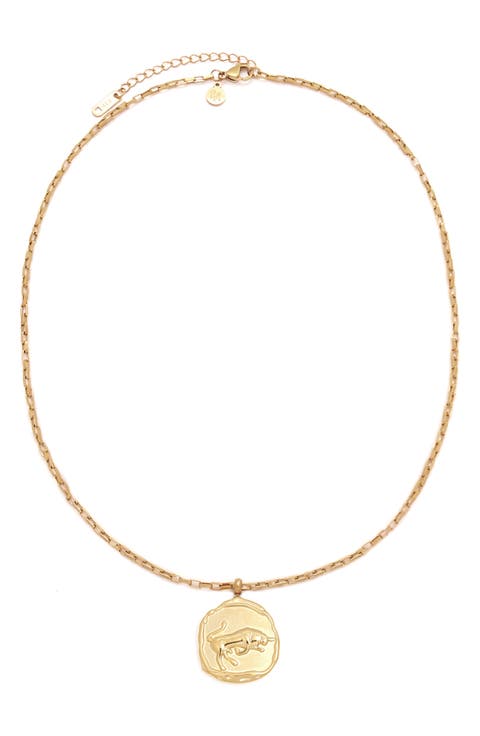 Horoscope Charm Necklace