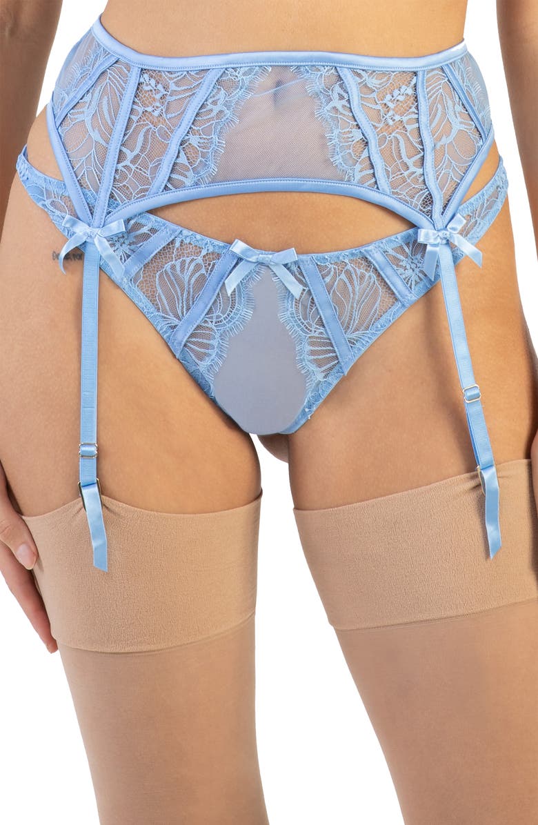 Playful Promises Fallon Lace & Mesh Garter Belt, Main, color,
