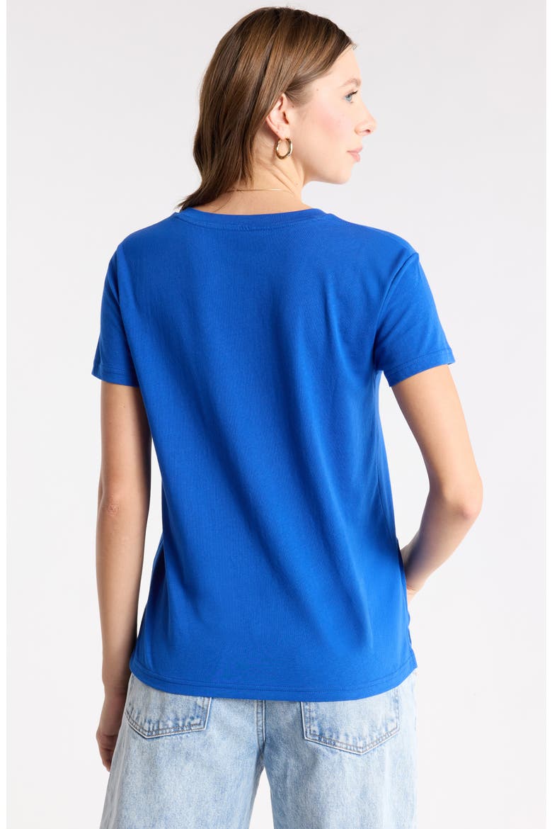 V-Neck Cotton T-Shirt, Alternate, color, BLUE SURF