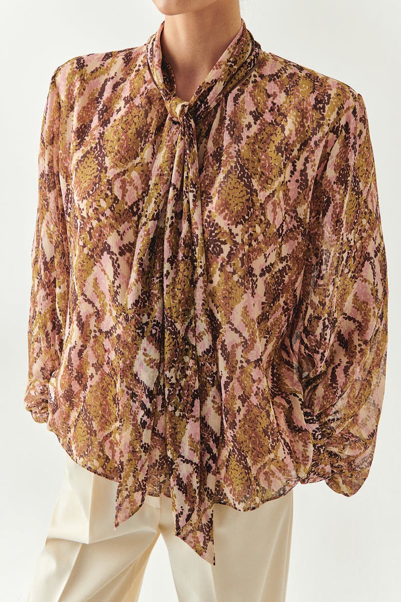 Sariyah Long Sleeve Blouse, Alternate, color, Brown