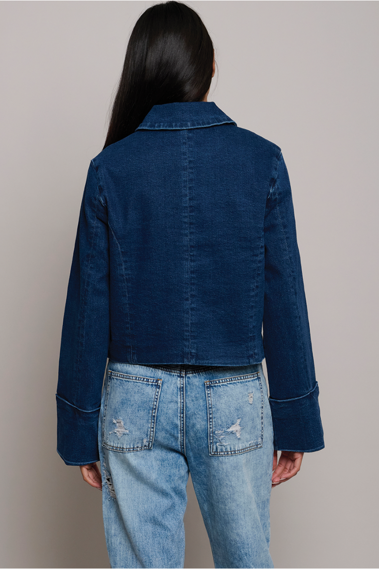 Jane Denim Jacket, Alternate, color, Beekman St.