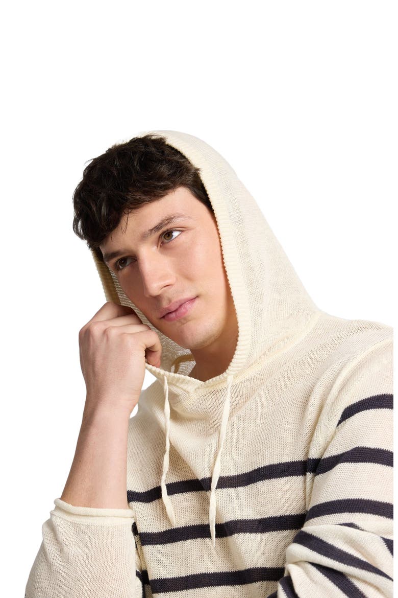 Frank Hooded Sweater, Alternate, color, Midnight/Egret