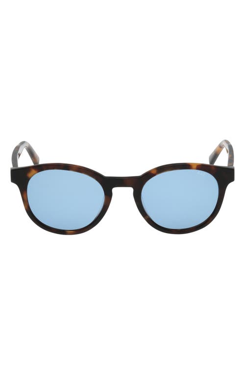 ABERCROMBIE & FITCH 50mm Round Sunglasses in Dark Havana /Blue  product