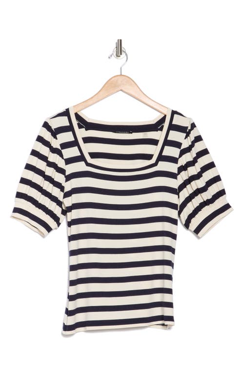 T Tahari Square Neck Banded Top In Black