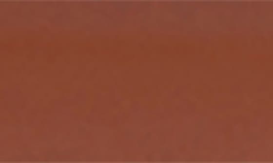 7C2 SIENNA
