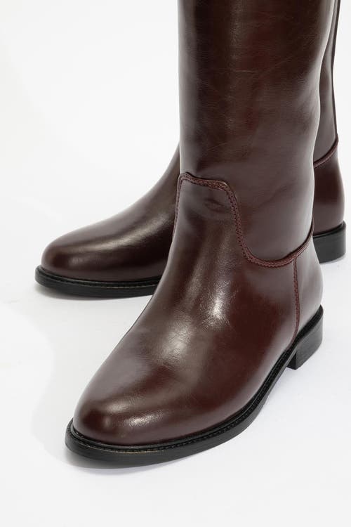 Prologue Shoes Yoko Knee High Boot In Brown