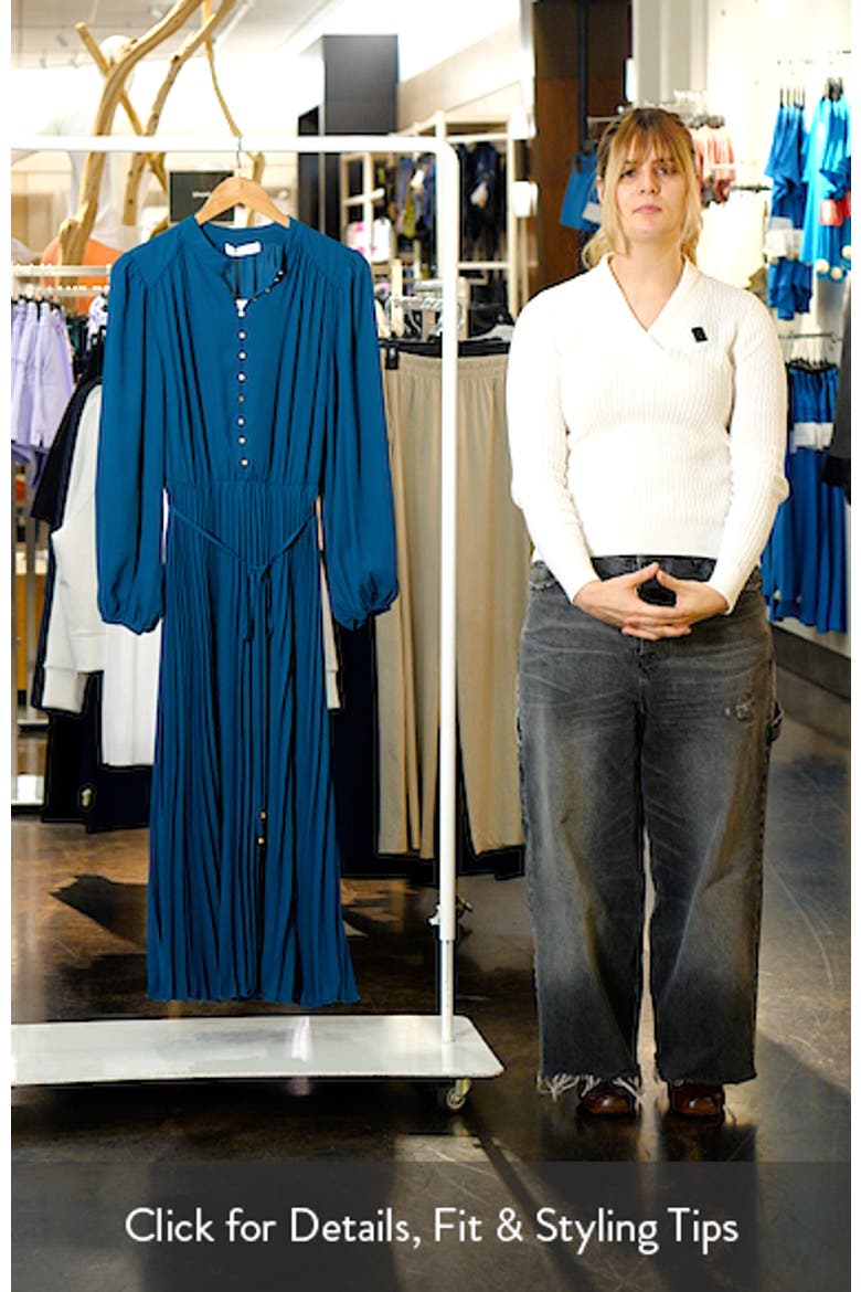 Halle Long Sleeve Pleated Maxi Dress video