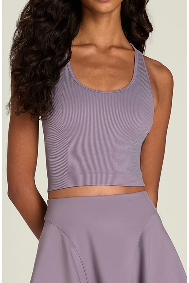 Everyday Brami Tank, Main, color, PURPLE ASH