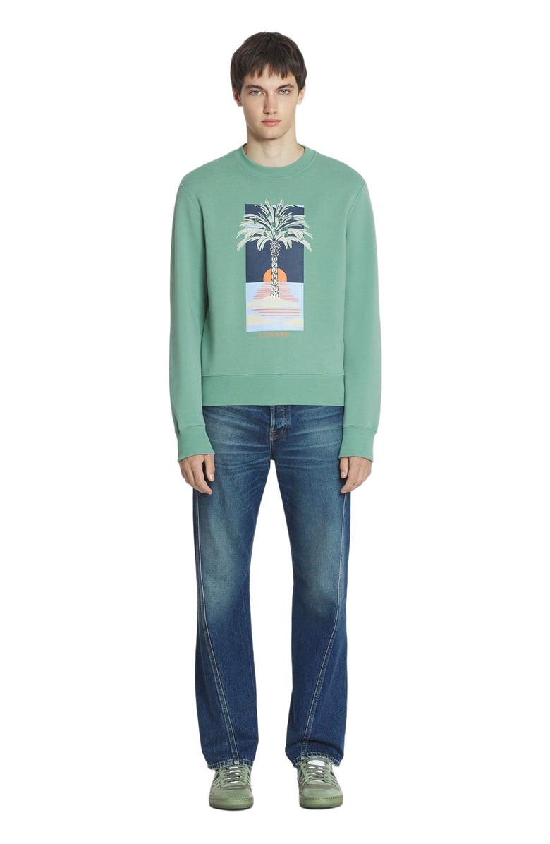 Lanvin PRINTED SWEATSHIRT, Main, color, 