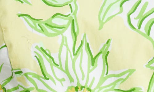Lilly Pulitzer Fresia Stretch Maxi Shift Dress In Green