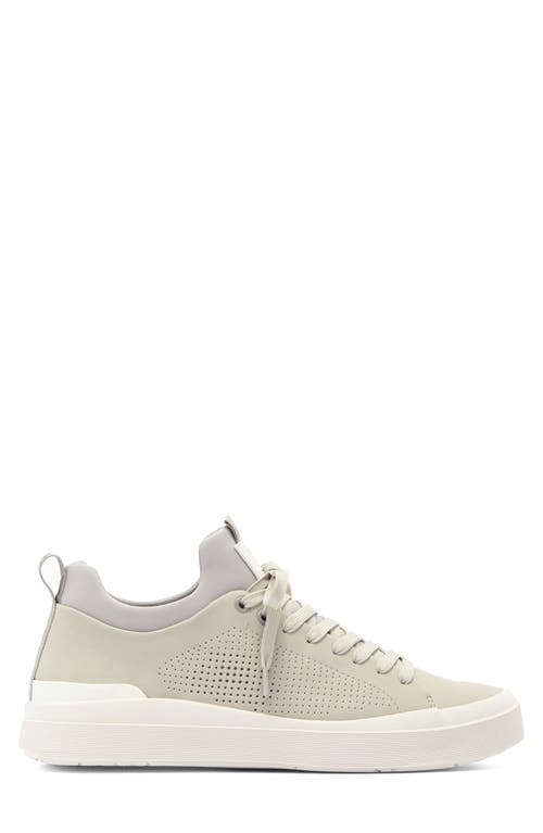 STEVE MADDEN STEVE MADDEN PYPER SNEAKER