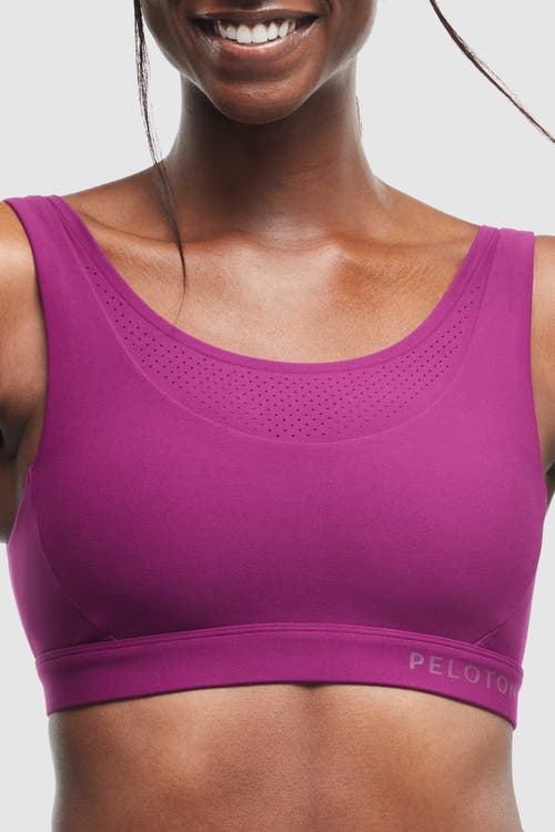 Peloton Cadent Laser Perforated Bra In Plum