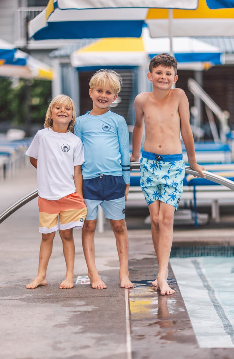 Feather 4 Arrow Wavy Palm Board Shorts, Alternate, color, 