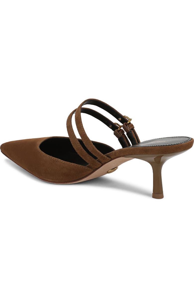 Veronica Beard Corrie Pointed Toe Pump, Alternate, color, Hazelwood