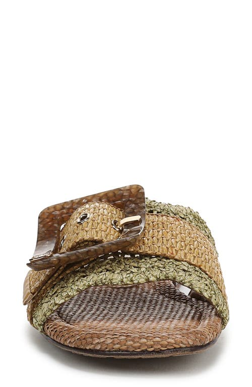 Sam Edelman Bambi Raffia Buckle Slide Sandal In Brown