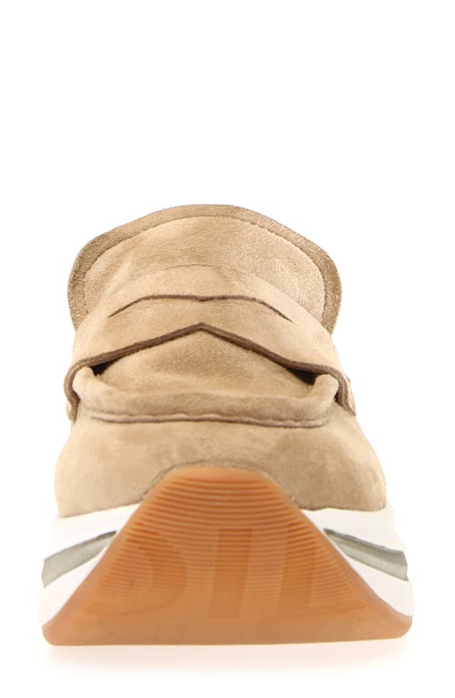 Shop Voile Blanche Merry Penny Loafer In Capacino