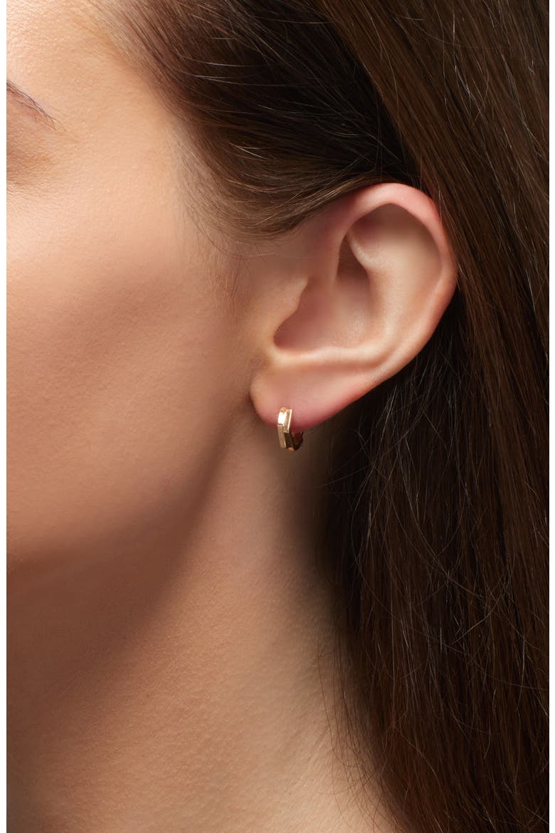 Antifer 2-Row Hoop Earring, Alternate, color, ROSE GOLD