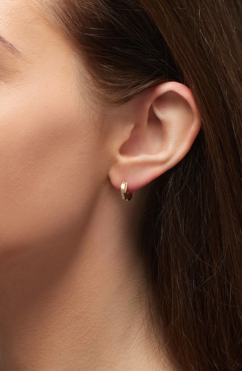 REPOSSI Antifer 2-Row Hoop Earring, Alternate, color, Rose Gold