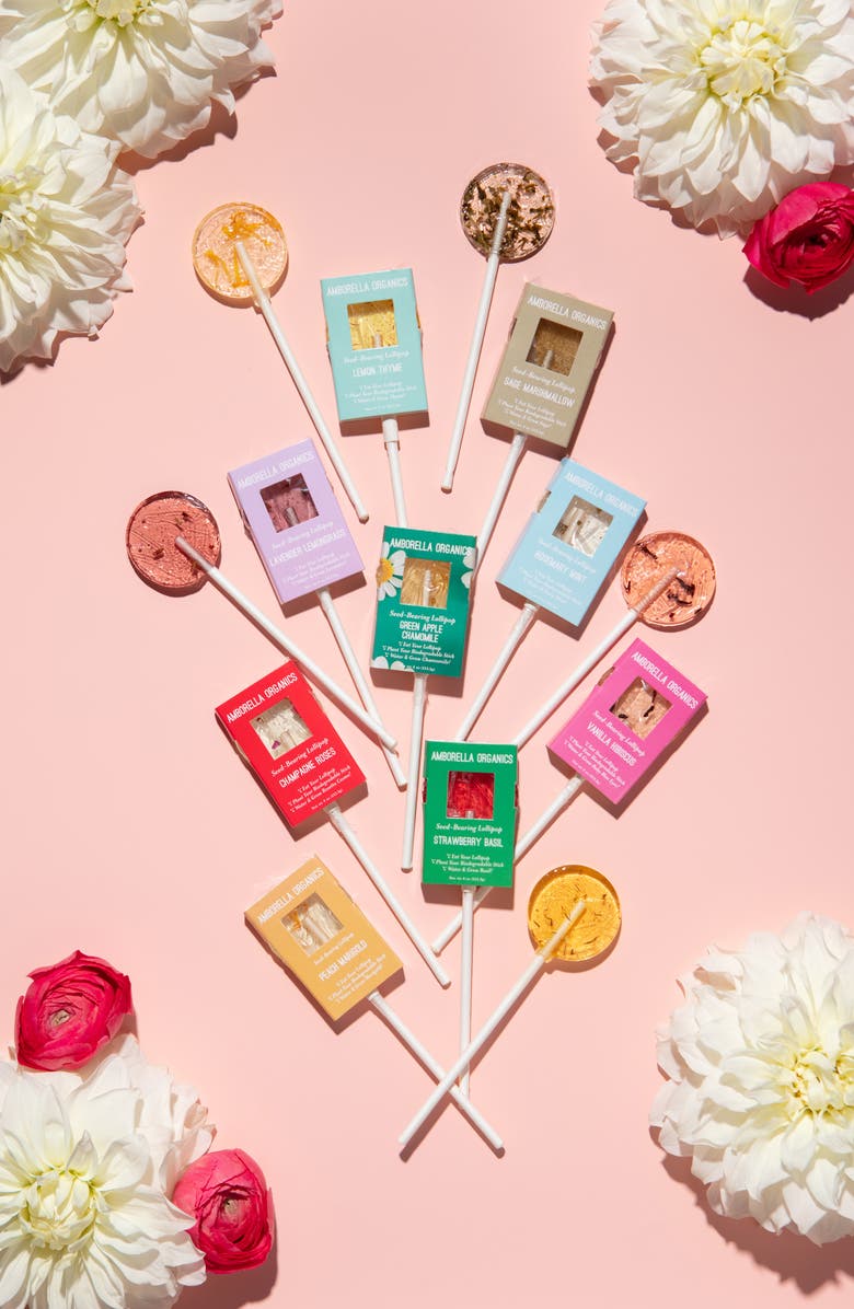 Amborella Organics Let Love Grow 144-Piece Seed Based Lollipop Set, Alternate, color, 