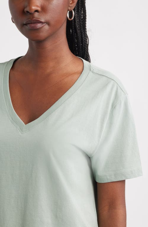 Treasure & Bond Core Cotton V-neck T-shirt In Neutral