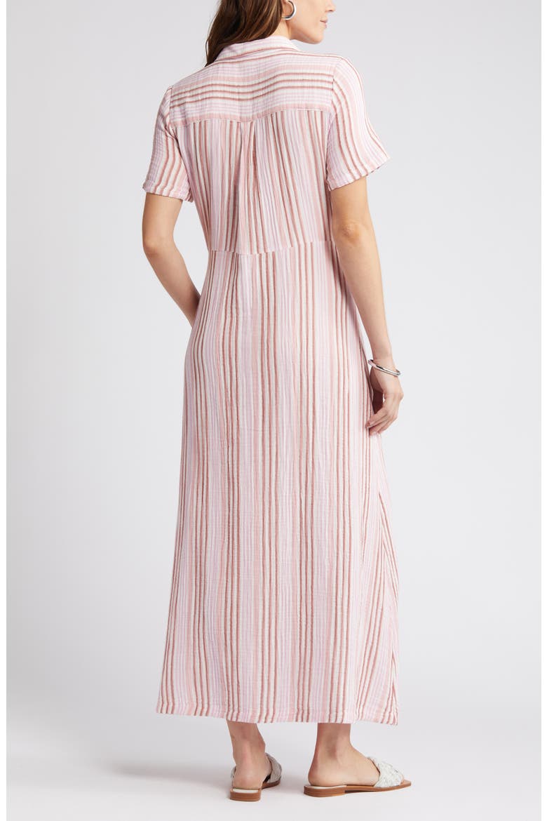 Stripe Cotton Gauze Shirtdress, Alternate, color, IVORY CLOUD- PINK VERA STRIPE