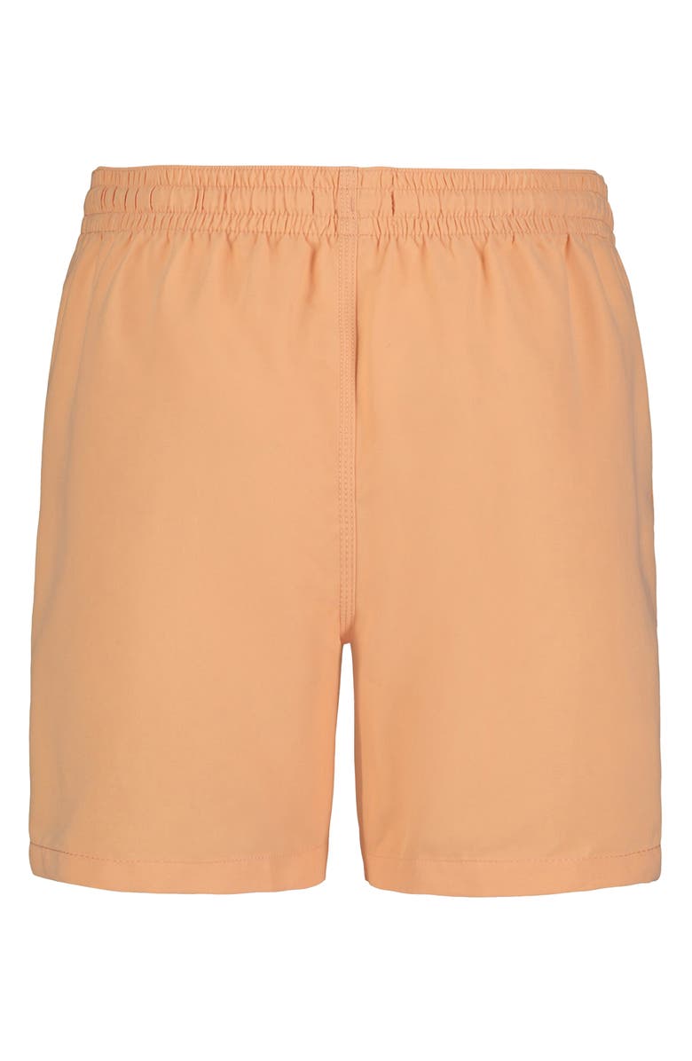 Billabong Kids' All Day Layback Swim Trunks, Alternate, color, Peach