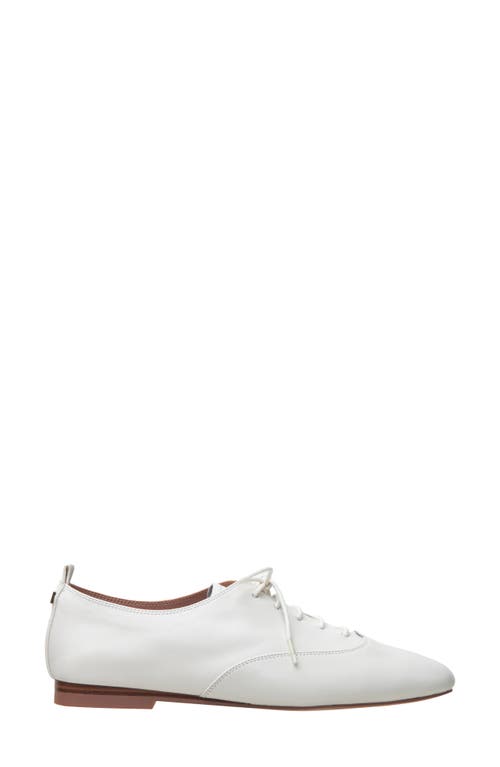 Linea Paolo Mirna Oxford Flat In White