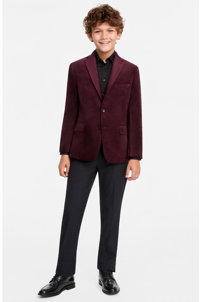 Kids' Velvet Suit Jacket, Alternate, color, BURGUNDY