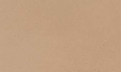 Allsaints Remy Leather Wallet In Mink Brown