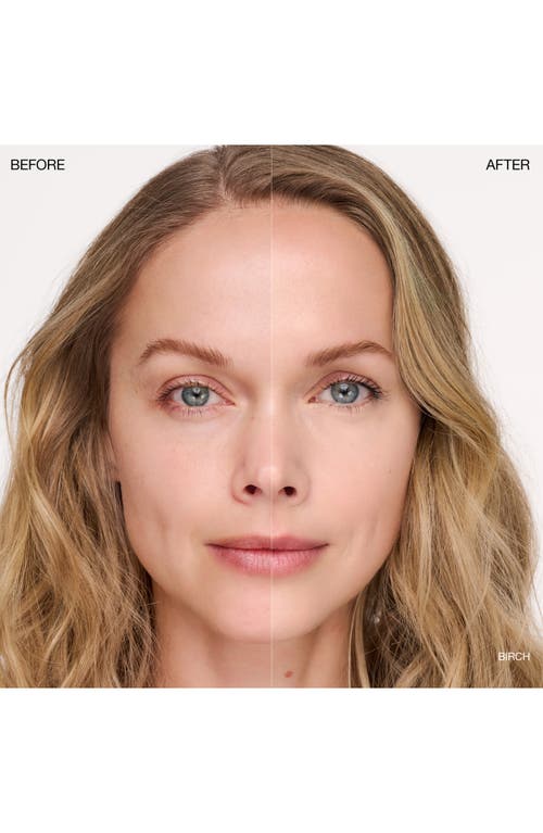 Ogee Complexion Perfecting Concealer In Brown