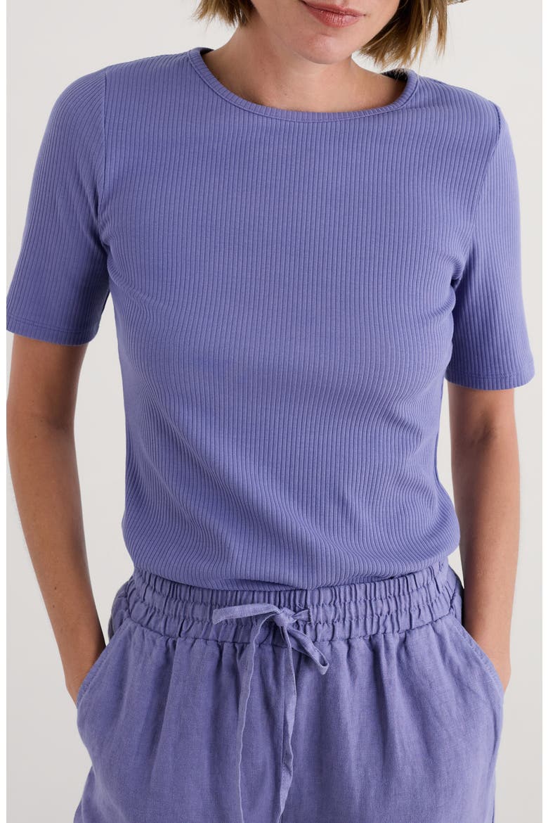 Gorse Lane Rib Shirt, Main, color, BILBERRY