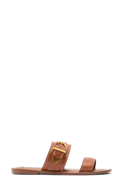 Steve Madden Sivan Slide Sandal In Cognac