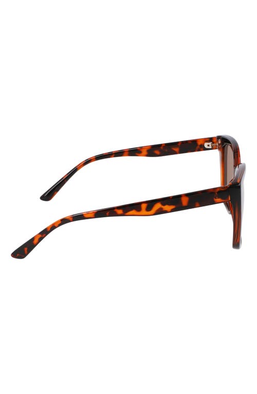 Cole Haan 55mm Cat Eye Sunglasses In Tortoise