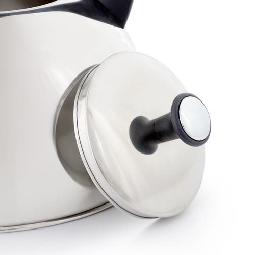 Mr Coffee Mr. Coffee Daneswell 2.1 Quart Stainless Steel Whistling Tea Kettle In Silver