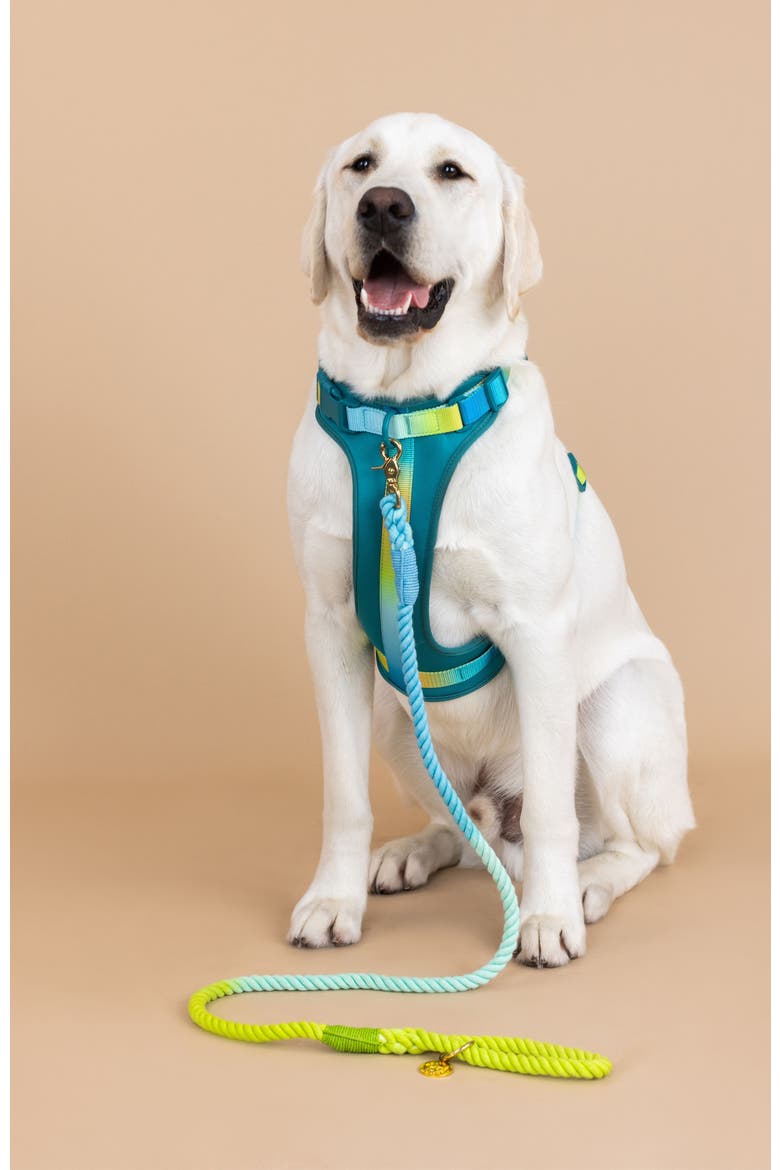 Joey Dog Harness, Alternate, color, Joey