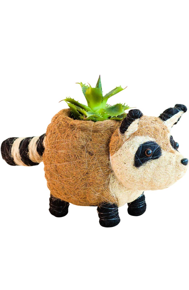 LIKHA Woodland Animal Coco Coir Planters, Main, color, Brown