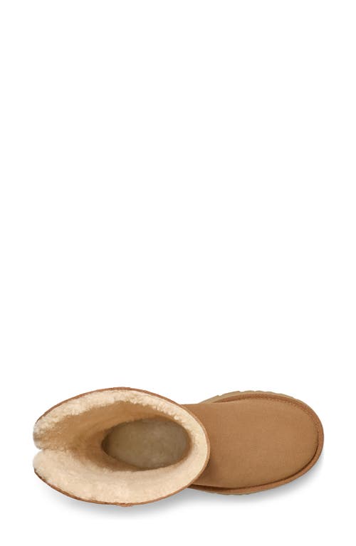 Shop Ugg ® Classic New Heights Genuine Shearling Cuffable Boot In Chestnut