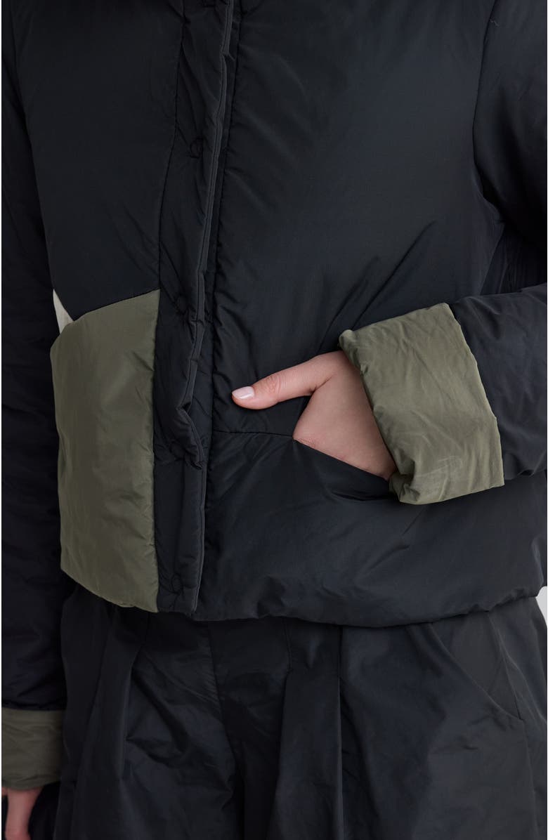 LUUKAA Delora Cropped Panel Coat, Alternate, color, Black