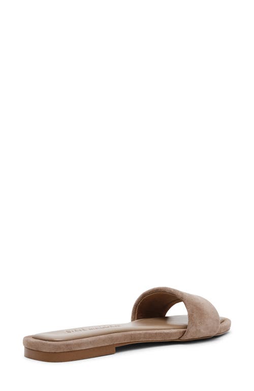 Shop Steve Madden Lumina Slide Sandal In Taupe Suede