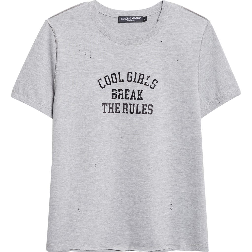 Dolce & Gabbana Dolce&gabbana Jersey Graphic T-shirt In Gray