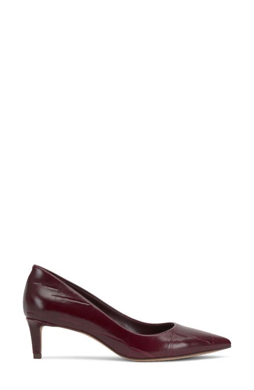 Vince Camuto Kehlia Pointed Toe Pump In Burgundy