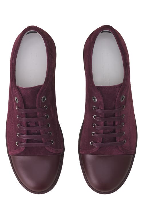 Lanvin Dbb1 Leather And Suede Sneakers In Purple