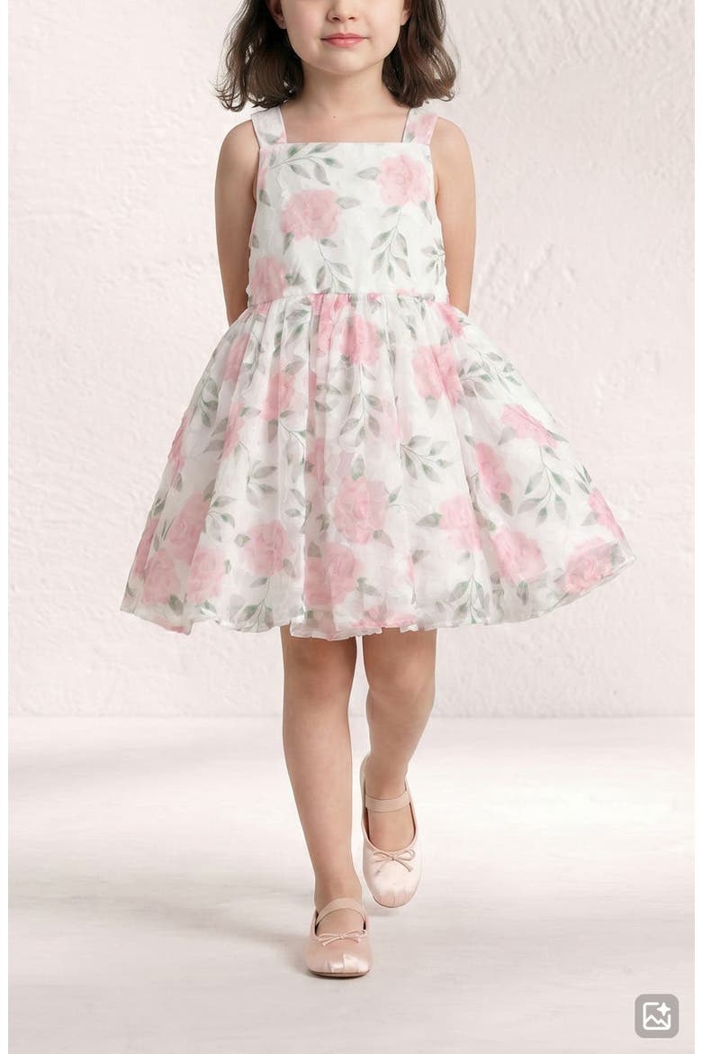 Kids' Emily Print Soutache Party Dress, Alternate, color, WHITE/ ROSE