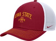 Nike Men's Nike Cardinal Iowa State Cyclones Rise Adjustable Trucker Hat