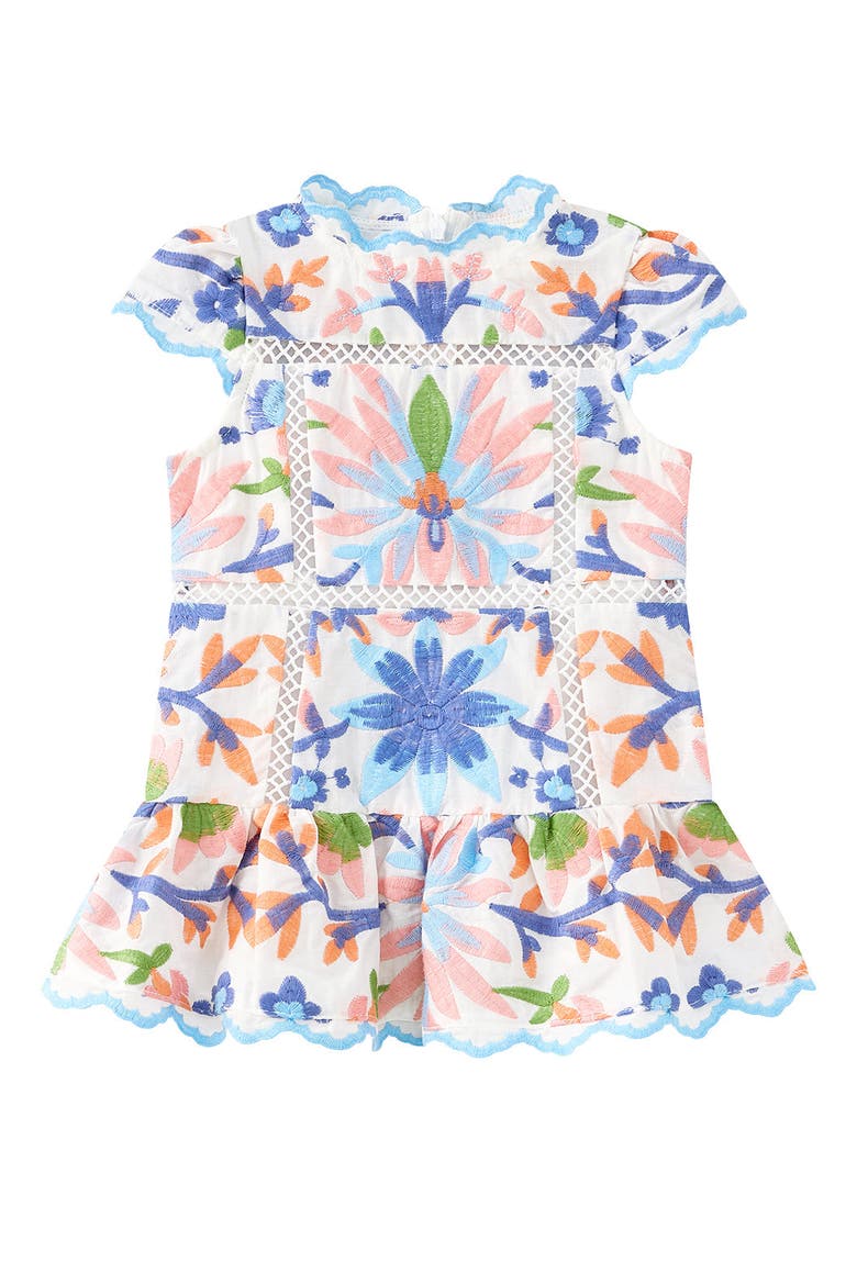 Sarah Embroidered Mini Dress, Main, color, Multi