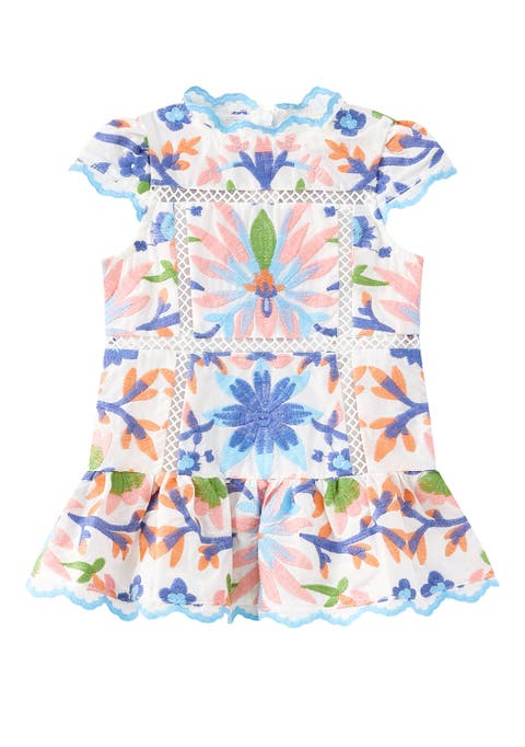 Sarah Embroidered Mini Dress