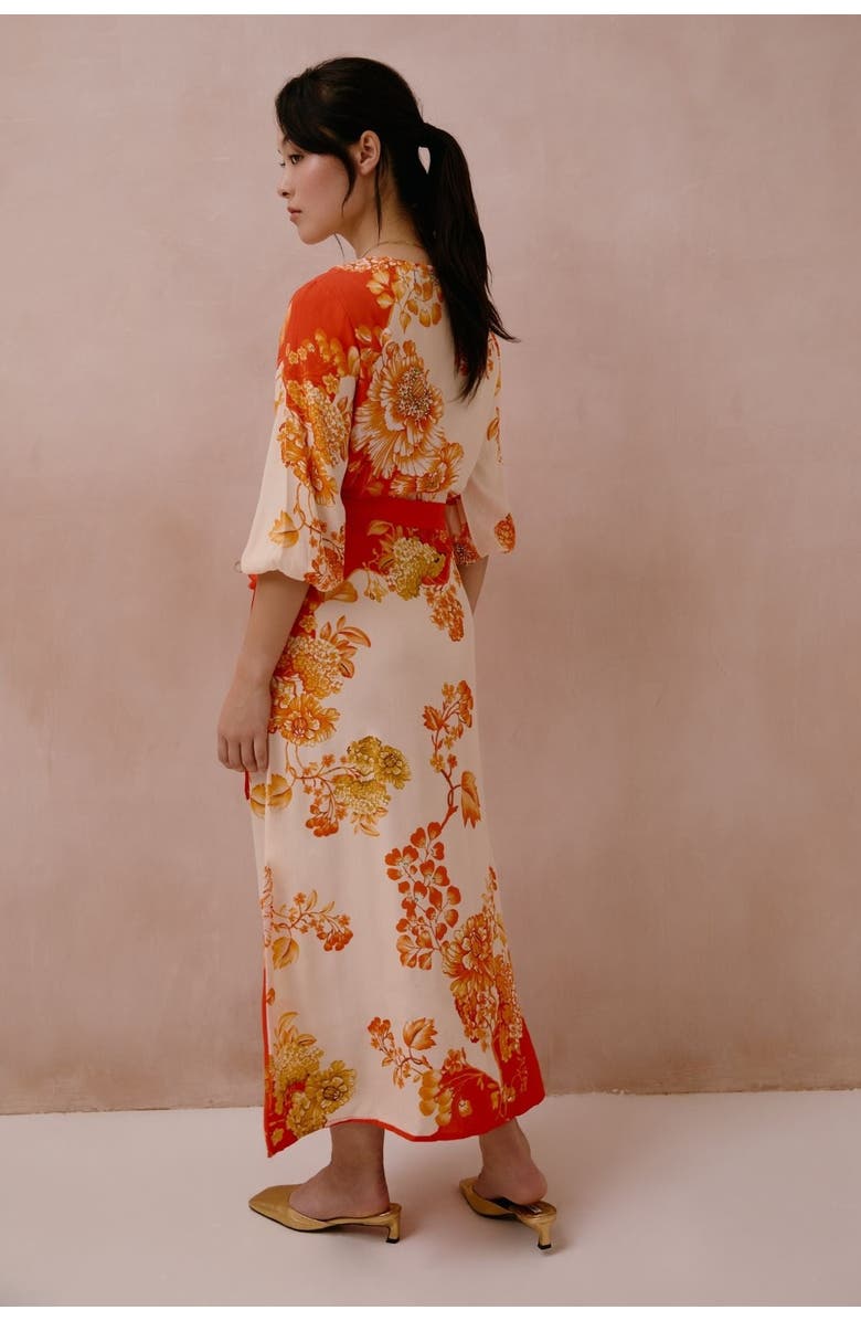 RAISHMA Michaela Dress, Alternate, color, Floral